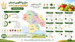مزارع الگویی استان کهگیلویه و بویراحمد در سال ۱۴۰۵ 